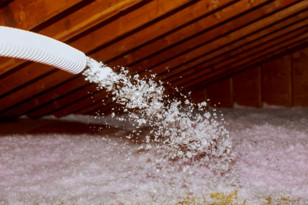 Best Cellulose Insulation  in Manhasset Hills, NY