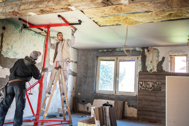 Best Local Insulation Services  in Manhasset Hills, NY