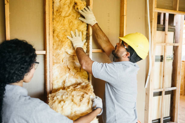 Best Attic Insulation Installation  in Manhasset Hills, NY