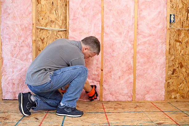 Best Best Insulation Companies  in Manhasset Hills, NY