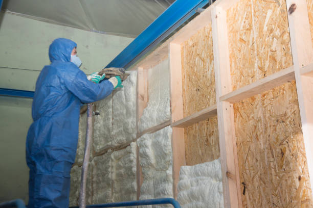 Best Home Insulation Services  in Manhasset Hills, NY